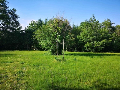 Terreno Agricolo in vendita a Puegnago sul Garda - Zona: Mura