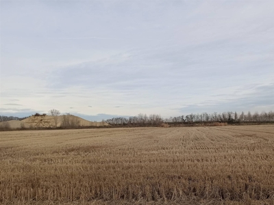 Terreno Agricolo in vendita a Vercelli - Zona: Periferia