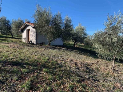 Terreno agricolo in Vendita ad Castel del Piano - 18000 Euro