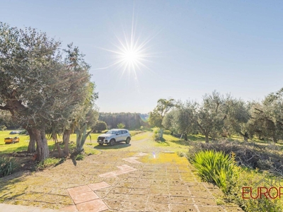 Villa in vendita a Cerveteri