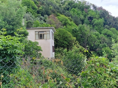 Casa indipendente con giardino a Massa