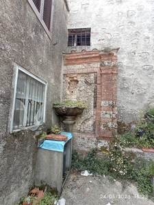 Rustico con giardino a Camaiore