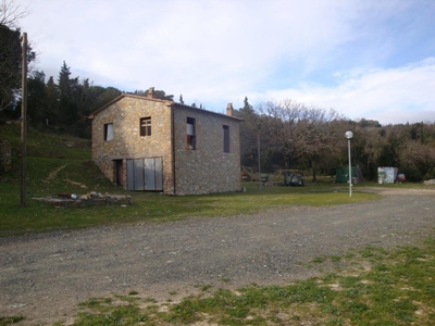 terreno agricolo in vendita a Monteverdi Marittimo