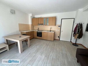 Appartamento arredato con terrazzo Bolognina