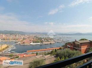 Appartamento arredato con terrazzo La Spezia