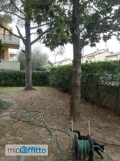 Appartamento arredato con terrazzo San mauro