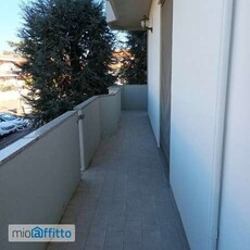 Appartamento con terrazzo Piacenza