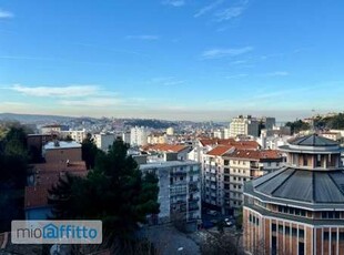 Bilocale arredato con terrazzo Trieste