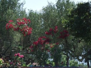 Residenza Loremar - Villa con piscina