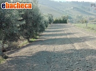 Terreno Agricolo a..