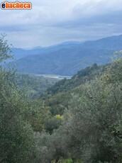 Terreno Agricolo a..