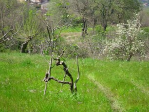 Terreno Agricolo in vendita a Castrolibero