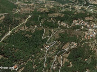 Terreno Agricolo in vendita a Falconara Albanese - Zona: Torremezzo