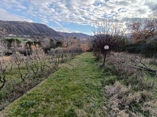 Terreno Agricolo in vendita a Mendicino