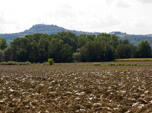 Terreno Agricolo in vendita a Miglionico