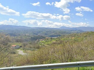 Terreno Agricolo in vendita a Rovito - Zona: Bosco