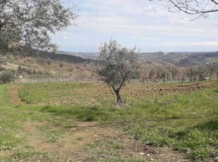 Terreno in Vendita ad Bucchianico - 60000 Euro