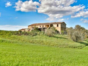 Val d'Orcia - Azienda agricola in vendita a Trequanda (Siena)