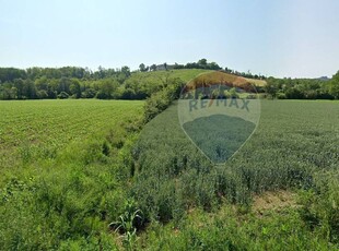 Vendita Terreno agricolo cascina bianca, Camagna Monferrato