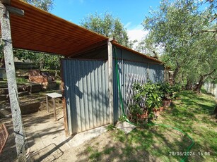 Vendita Terreno Agricolo in MASSAROSA