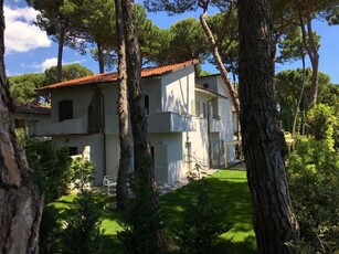 Villa in affitto a Forte dei Marmi - Zona: Vittoria Apuana