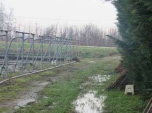 Altro in Vendita a Acquanegra sul Chiese Acquanegra Sul Chiese