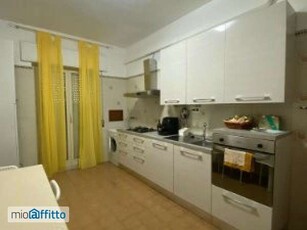 Appartamento arredato Anfiteatro