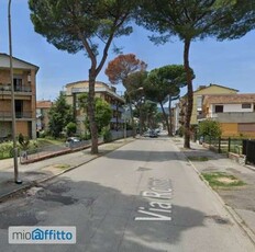 Appartamento arredato con terrazzo Centro