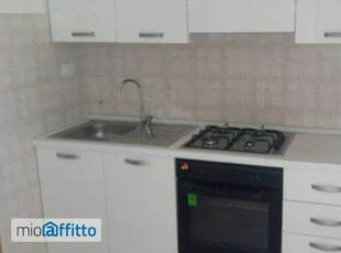 Appartamento arredato con terrazzo Porto allegro