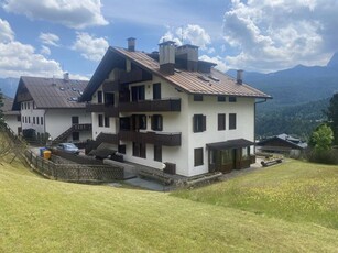 Appartamento in Affitto a San Vito di Cadore San Vito di Cadore