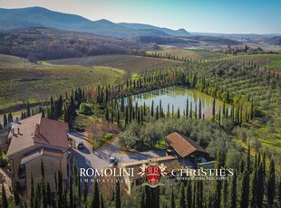 AZIENDA VITIVINICOLA BIOLOGICA CON 9,6 HA DI VIGNETO IN VENDITA IN MAREMMA, TOSCANA