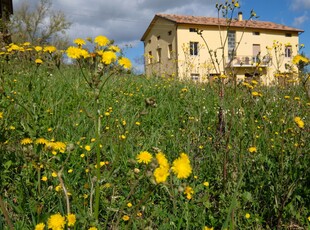 Casa indipendente 10 locali di 260 m² in Staffolo