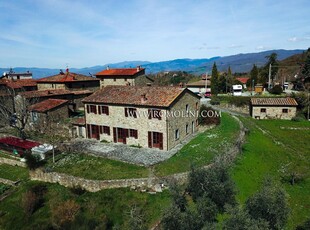 CASALE RUSTICO CON OLIVETO IN VENDITA IN TOSCANA, CASENTINO