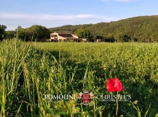 CASALE RUSTICO CON PICCOLO VIGNETO IN VENDITA A UN'ORA DAL MARE, TOSCANA