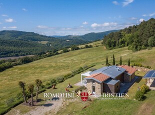 PODERE CON CASOLARE E RUDERI IN VENDITA IN TOSCANA, CASENTINO