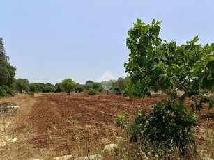 Ter. agricolo in vendita