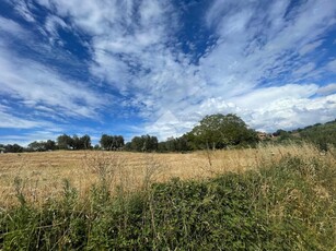 Ter. agricolo in vendita