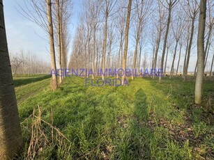 Terreno agricolo in Vendita a Camposampiero Straelle