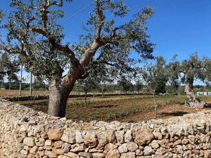 Terreno agricolo in vendita a Polignano A Mare