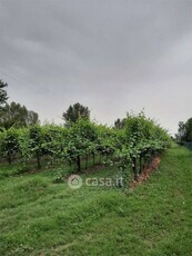Terreno agricolo in Vendita in a Modena