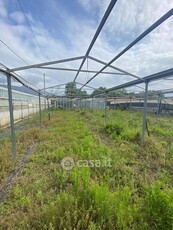 Terreno agricolo in Vendita in Regione Pratogrande a Albenga