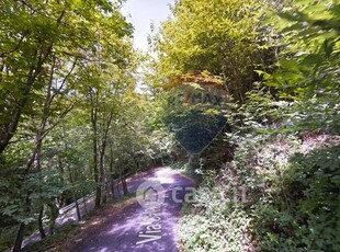 Terreno agricolo in Vendita in Via Cà Pedrizzi a Almenno San Bartolomeo