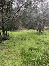 Terreno agricolo in Vendita in Via delle Cappelle di Sopra a Sesto Fiorentino