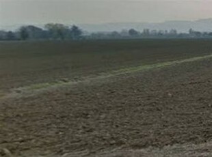 Terreno agricolo in Vendita in Via Masini a Zola Predosa