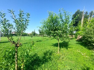 Terreno in vendita a Legnaro