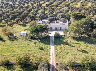 Vendita Colonica, FASANO