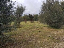 Terreno Agricolo in vendita a Melilli via San Giuliano