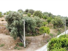 Terreno Agricolo in vendita a Noto