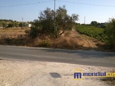 Terreno Agricolo in vendita a Pachino pachino