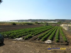 Terreno Agricolo in vendita a Pachino pachino